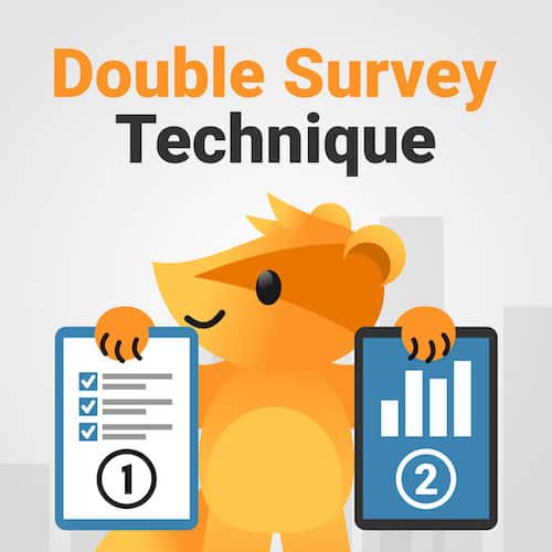 Double Survey Technique blog marketing strategy